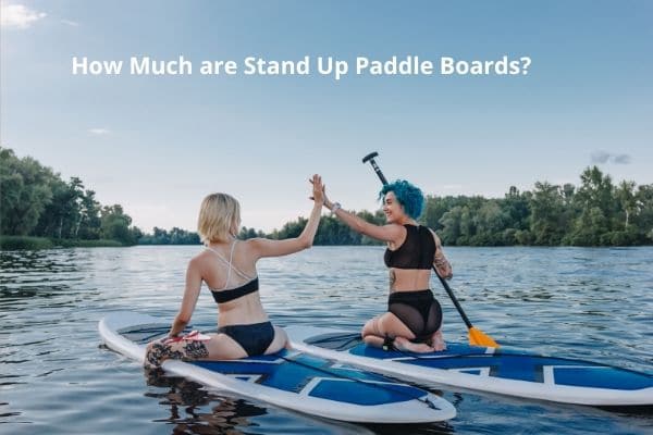 How Much are Stand Up Paddle Boards?